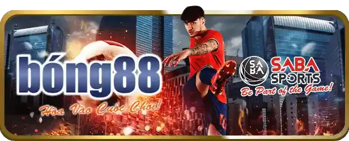 Các môn thể thao khác tại 13win1 link mới
